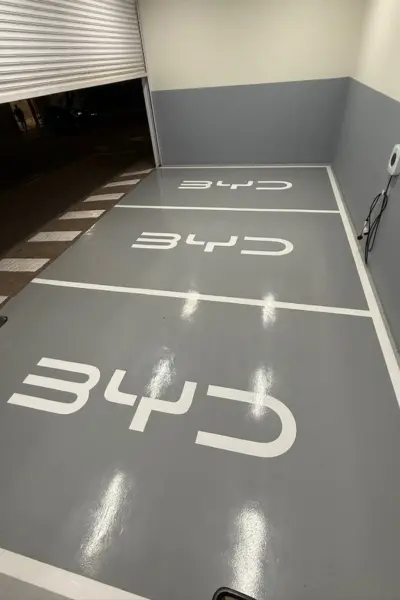 8 (5)